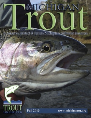 1_Michigan-Trout-Fall-2013-Cover