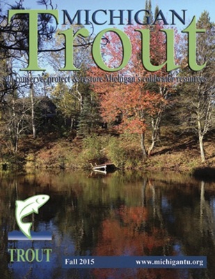 1_Michigan-Trout-Fall-2015