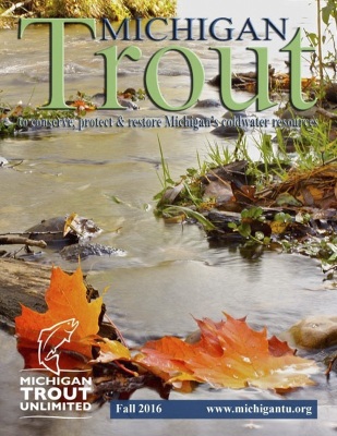 1_Michigan-Trout-Fall-2016