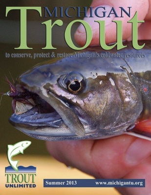 1_Michigan-Trout-Summer-2013-Cover