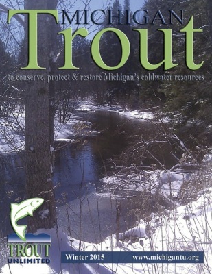 1_Michigan-Trout-Winter-2015