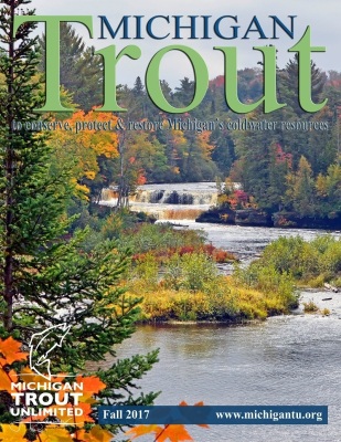 Michigan_Trout_Fall_2017_-_Option_3