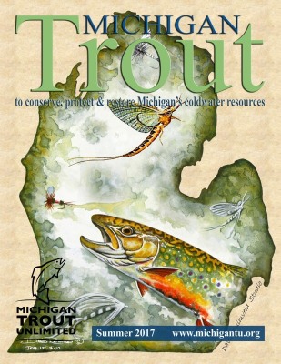 Michigan_Trout_Summer_2017_Cover