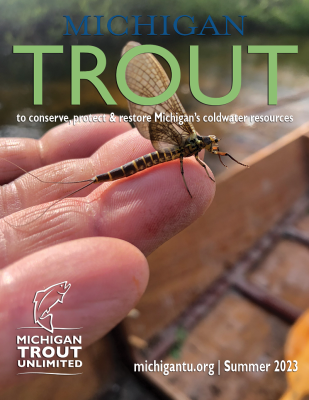 Michigan_Trout_Summer_2023